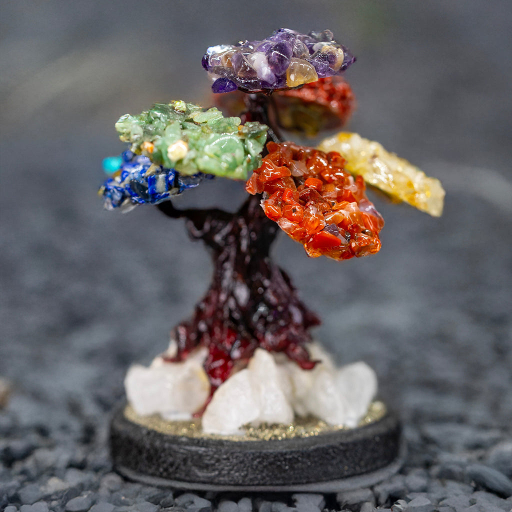 Árbol chico 7 chakras