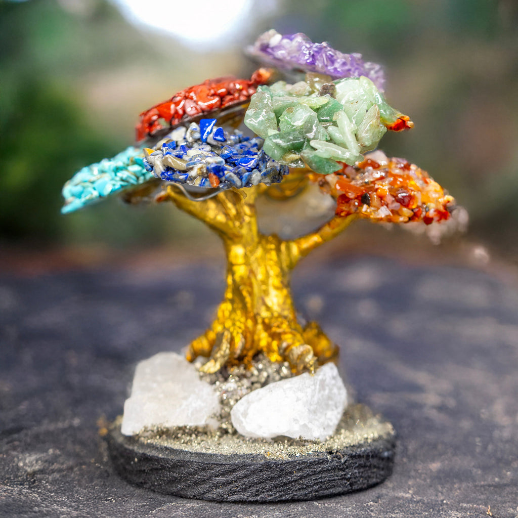 Árbol chico 7 chakras
