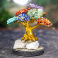Árbol chico 7 chakras