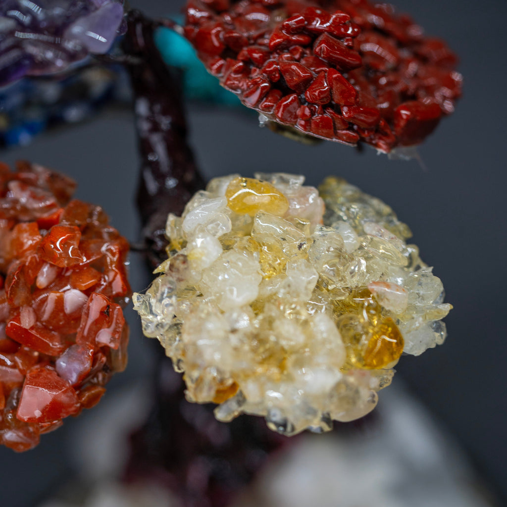 Árbol chico 7 chakras